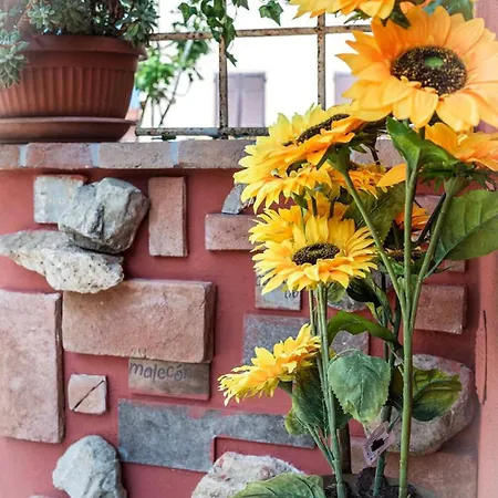Vila Il Rustichino, Country With Pool Soianella