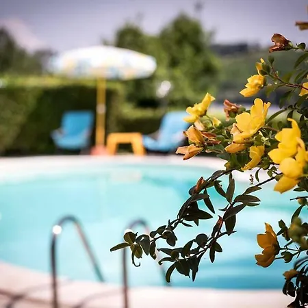 Vila Il Rustichino, Country With Pool Soianella